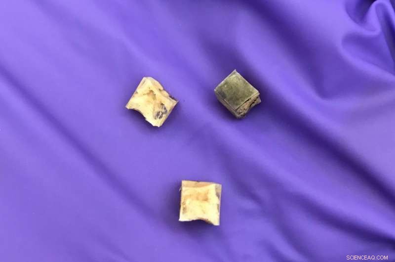 Boron Nitride Foam Captures CO₂, Surpassing Three Times Its Weight