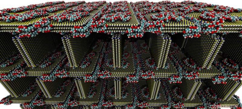 Boron Nitride Foam Captures CO₂, Surpassing Three Times Its Weight
