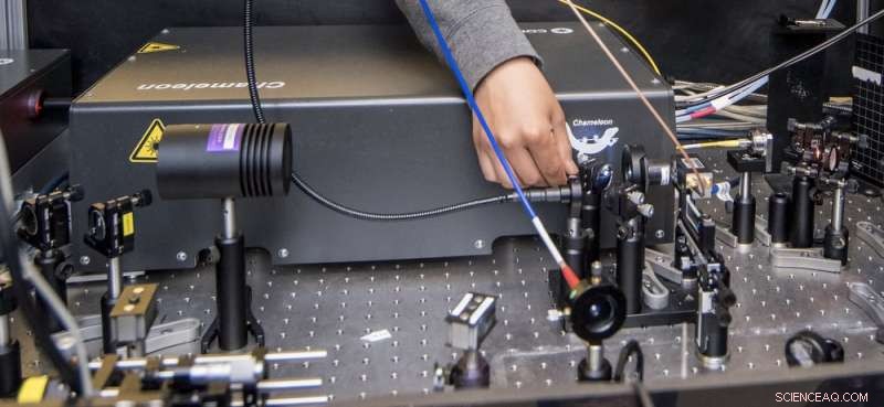 Precise Band‑Gap Measurement and High Tunability of Monolayer Molybdenum Sulfide Revealed