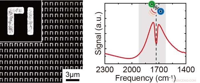 Nanostructured Metamaterials Enable Precise Identification of Trace Molecules