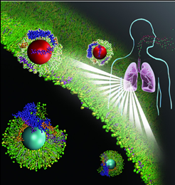 Unveiling the Biological Identity of Inhaled Nanoparticles