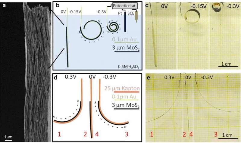 Nano Device Mimics Muscle, Lifts 165× Its Own Weight