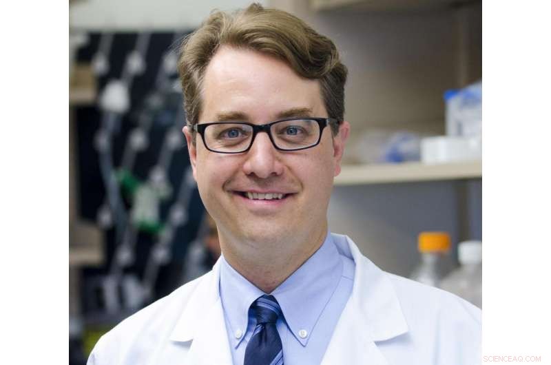 Gold Nanoparticle Laser Therapy Shows Promise in Killing Bladder Cancer in Mice