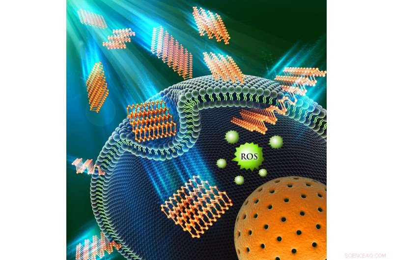 Environmental Chemist Highlights Safety Concerns of Emerging Nanoparticle