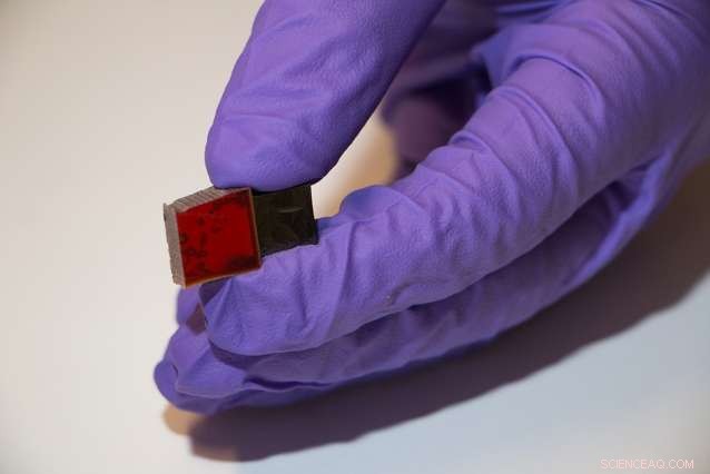 Carbon Nanotubes Lower Glassy Carbon Transformation Temperature, Enhancing Material Performance