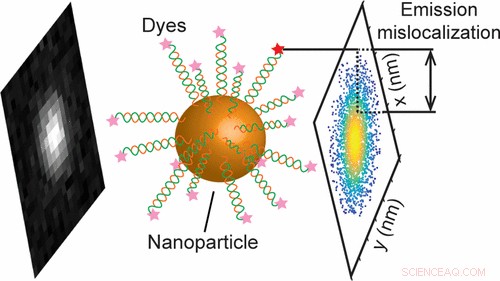Nanoparticles Illuminate Research, Yet Distort Microscopic Measurements