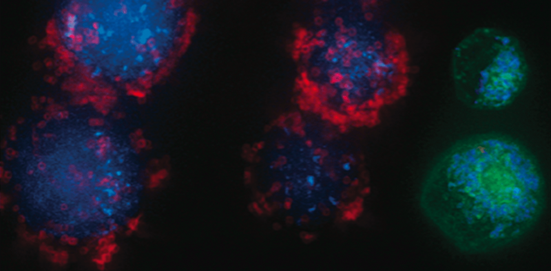 Targeting Diseases with Nanotechnology: Opportunities and Challenges