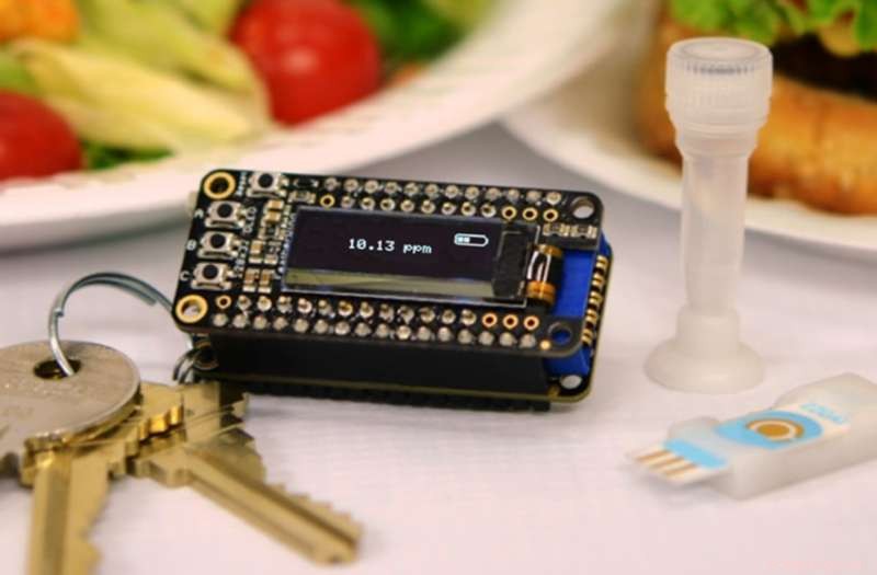 Portable Keychain Allergen Detector Alerts You Before Danger