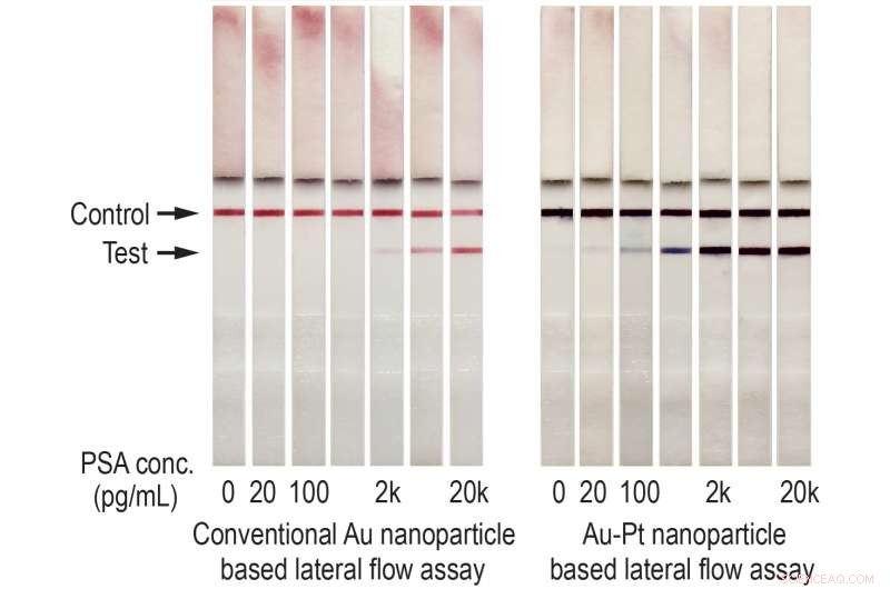 Nanoparticle-Coated Test Strips Significantly Enhance Cancer Detection Sensitivity