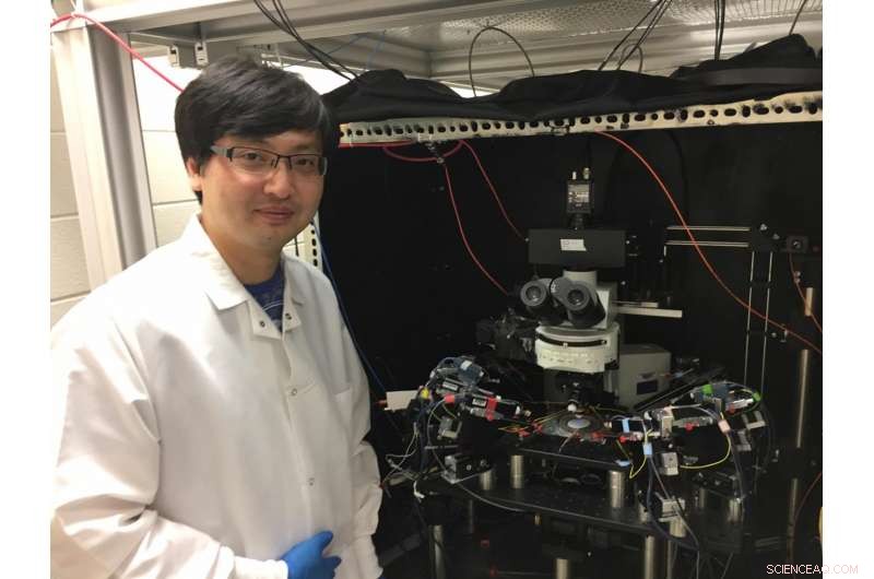 Advanced Technique Enables Doctors to Forecast Disease Severity Accurately