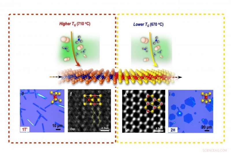 Pioneering 2-D Field-Effect Transistor Made from a Single Material