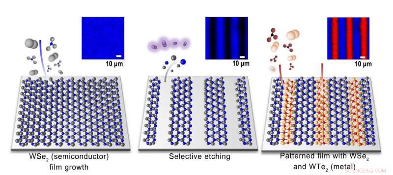 Pioneering 2-D Field-Effect Transistor Made from a Single Material