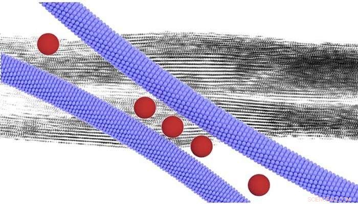 Nanoparticle Assembly Mimics Zipper Action for Precise Superlattice Formation