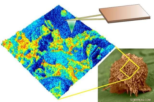 Revolutionizing Nano-Scale Imaging: Faster Techniques Unveiled