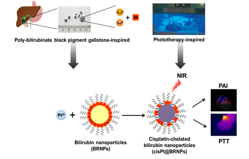 Bilirubin Nanoparticles for Precise Photoacoustic Imaging and Photothermal Cancer Therapy