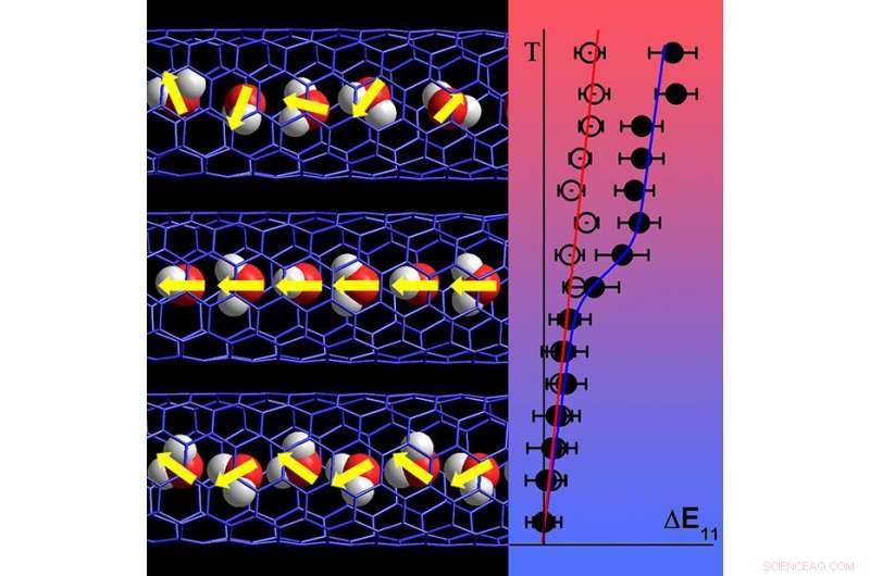 Ultra‑Cold Water Forms Highly Ordered Chains Inside Carbon Nanotubes