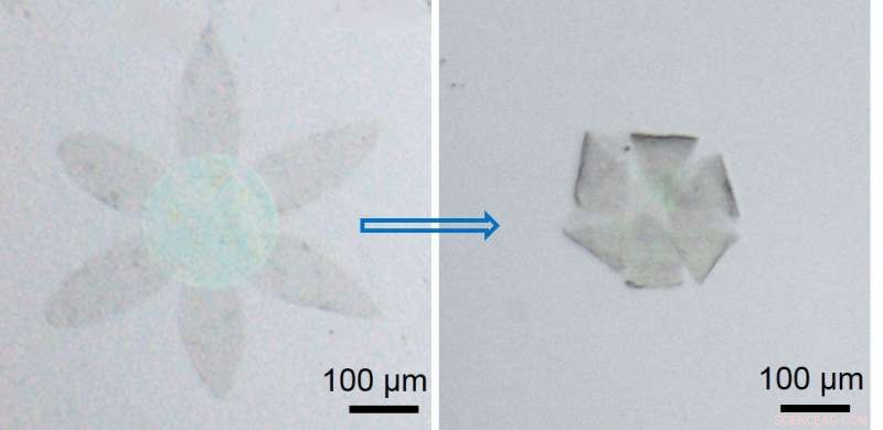 Graphene Self-Folded into 3-D Shapes: New Method for 3-D Micro-Structures