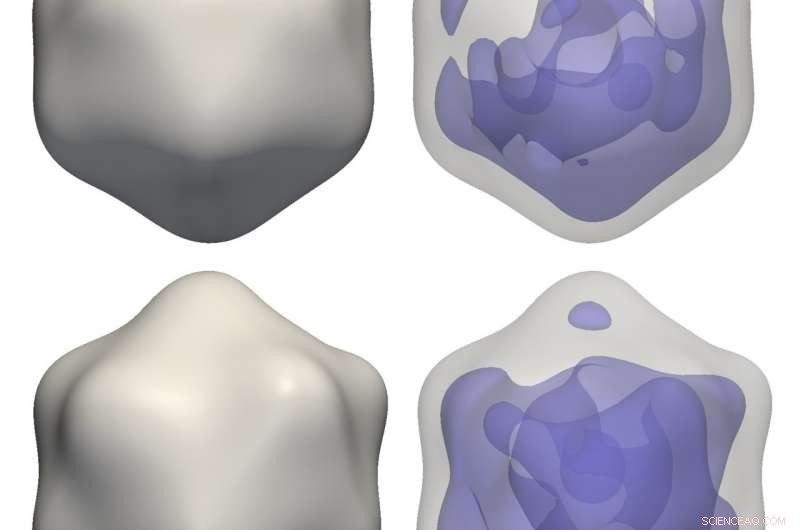 Scientists Reconstruct Nanoscopic Virus Structures via X‑Ray Correlation Analysis