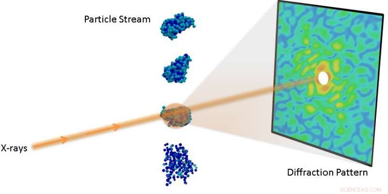 Scientists Reconstruct Nanoscopic Virus Structures via X‑Ray Correlation Analysis