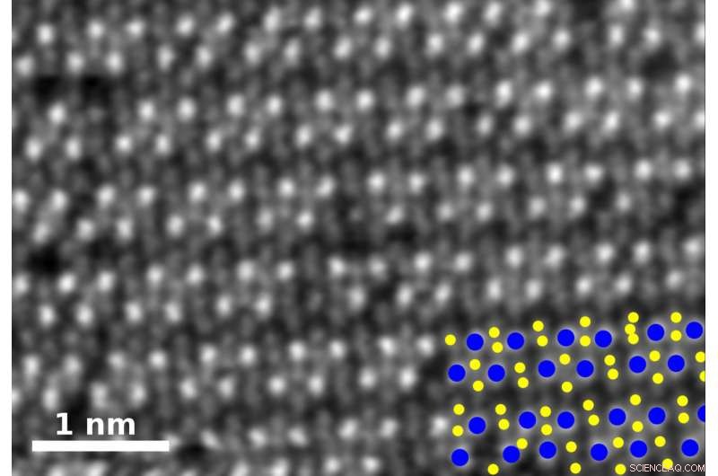 Scientists Discover Unexpected Magnetism in Atom-Thick Alloys