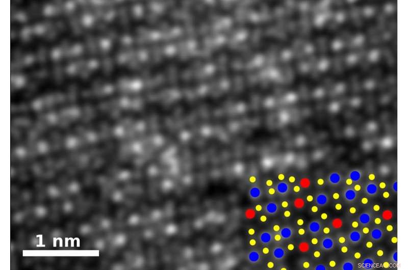 Scientists Discover Unexpected Magnetism in Atom-Thick Alloys