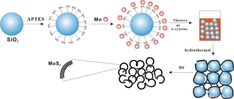 Porous MoS₂ Morphologies Deliver Superior Phenol Hydrogenation Efficiency