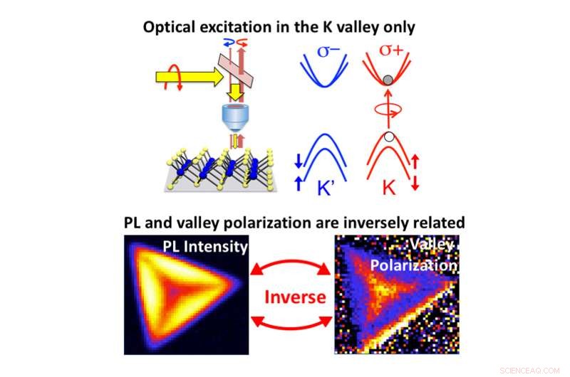 Researchers Resolve Valley Polarization in WS2 for Advanced Electronics & Optoelectronics