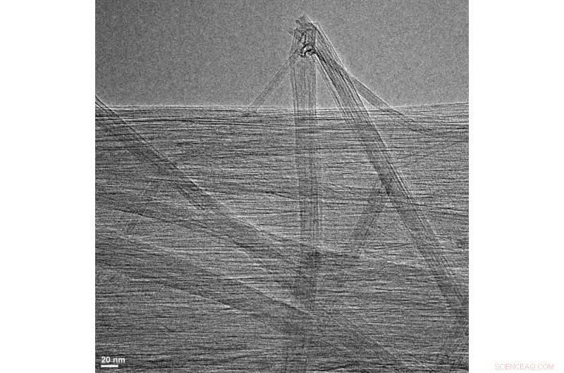 Rice University and NUS Researchers Enhance Purification and Characterization of Carbon Nanotube Wires and Films