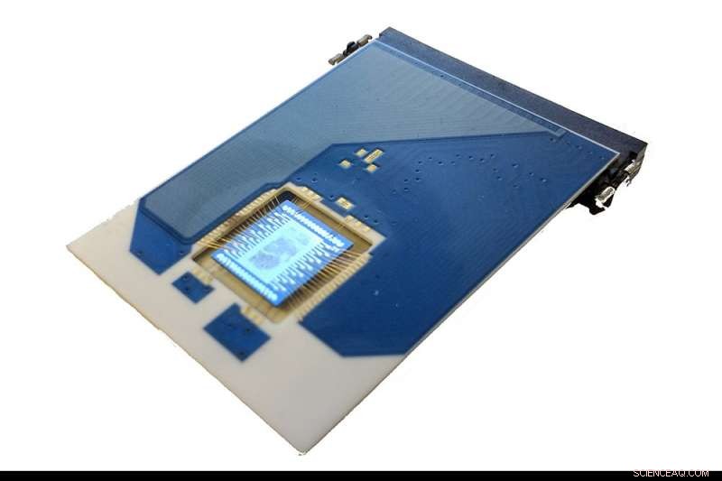 Graphene Nano‑Ribbons Deliver Unmatched Sensitivity for Gas Sensors