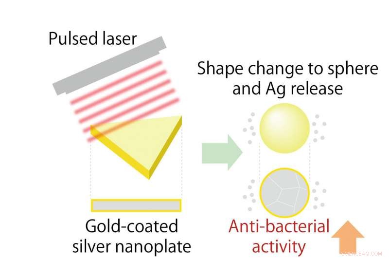 Pulse‑Laser‑Triggered Silver Nanoparticles Deliver Targeted Antibacterial Power