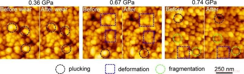 How Chewing Shapes Teeth: Nanoscopic Insights from New Research