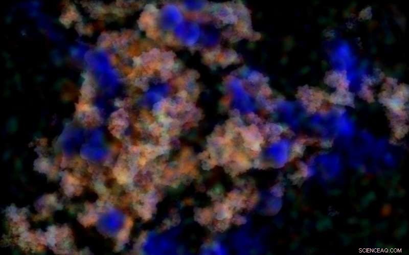 Novel Nanoparticle Tested for Effective Cadmium Removal in Freshwater Ecosystems