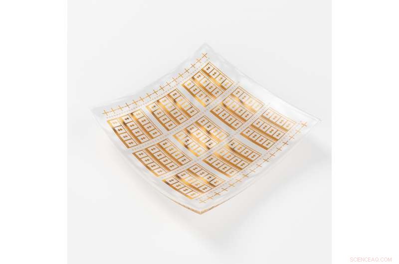 Graphene Powers High‑Speed Flexible Electronics