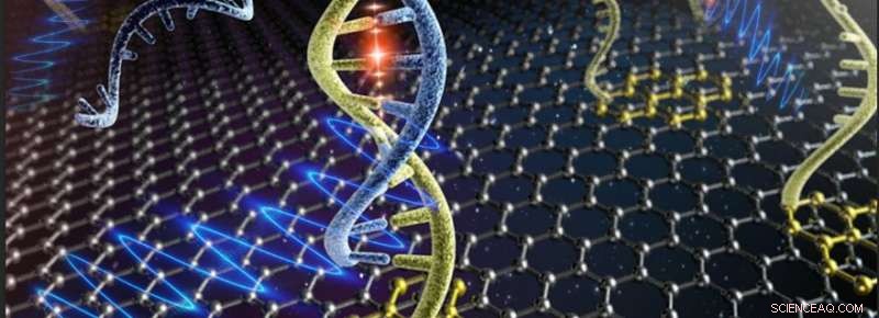 Advanced Graphene Sensors Achieve Precise HIV DNA Detection