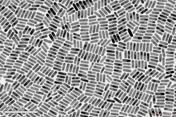 Engineered Nano‑Gold Particles Mimic Biological Clones for Advanced Biomedical Applications