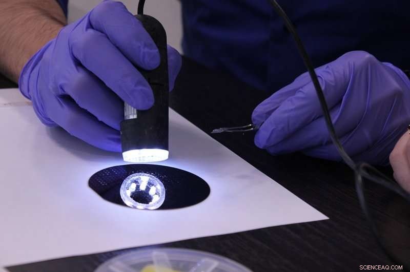 Gold Nanoantennas Propel Next‑Generation Nanoelectronics