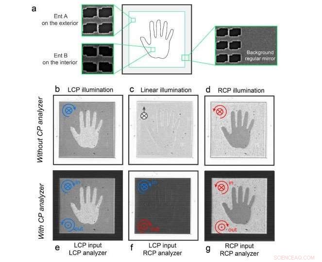 Chiral Meta‑Mirror Preserves Circularly Polarized Light, Surpassing Conventional Mirrors