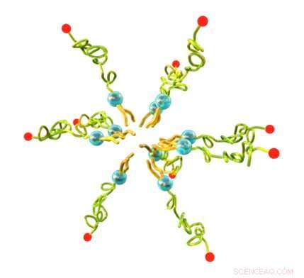 Advanced Theranostic Nanoparticles: Precise Tracking & Monitoring of Disease Progression