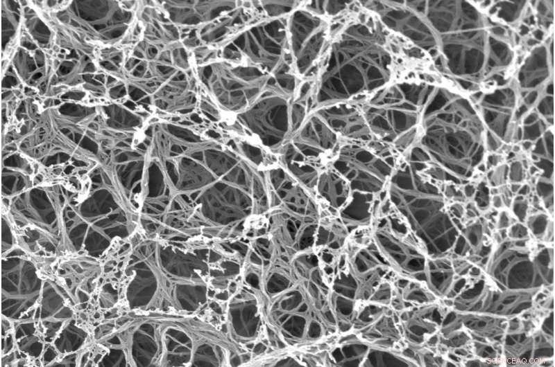 Kevlar-Based Artificial Cartilage Replicates the Superior Strength of Natural Tissue