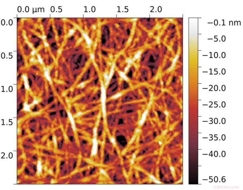 New Study Deciphers Metallic Conductivity in Thin Carbon Nanotube Films