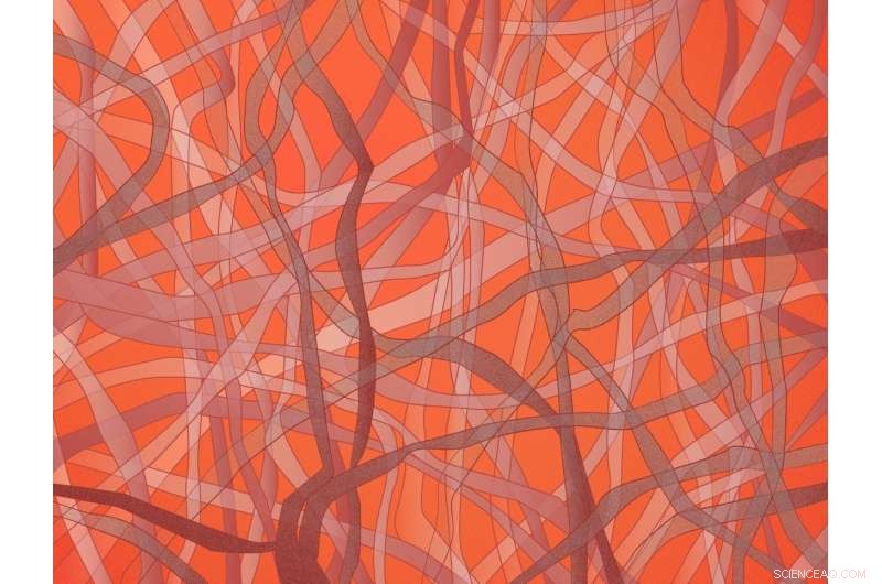 New Study Deciphers Metallic Conductivity in Thin Carbon Nanotube Films