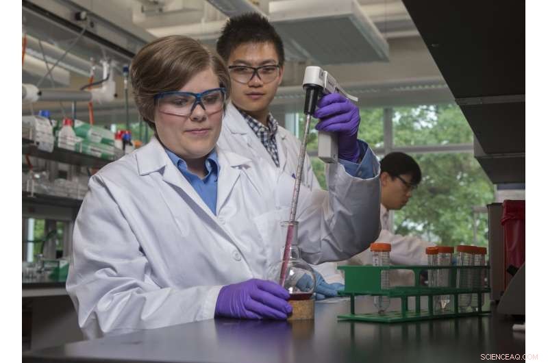 Nanoparticles Promise Faster, More Effective Medicine Delivery