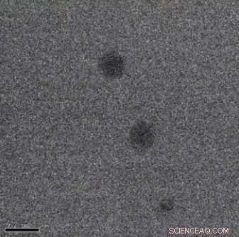 Northwestern Researchers Record First Video of Colliding Organic Nanoparticles
