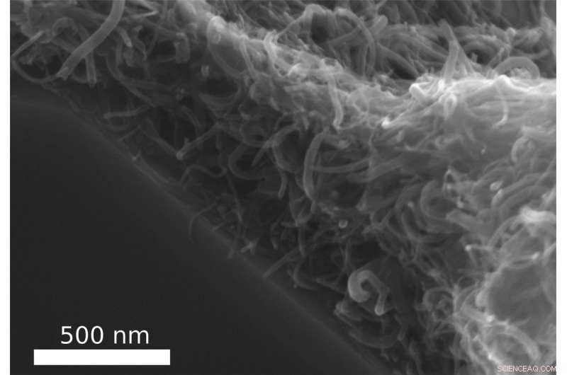 Scientists Create Durable Carbon Nanotube Composite for Advanced Applications