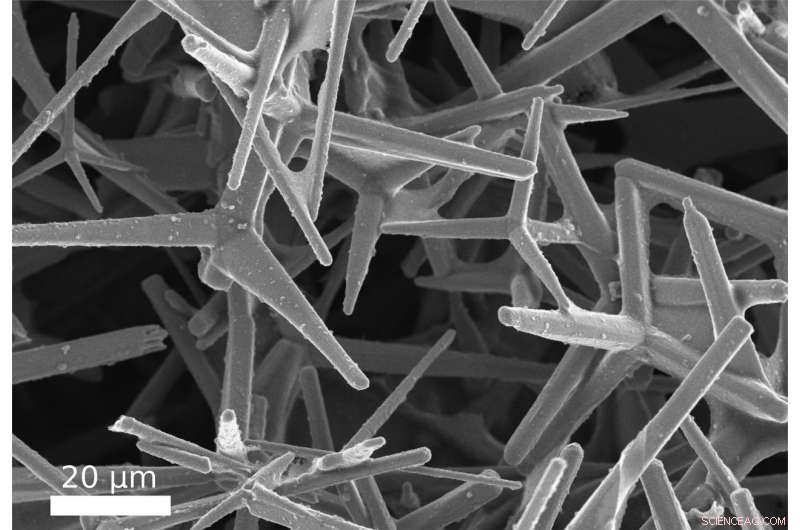 Scientists Create Durable Carbon Nanotube Composite for Advanced Applications
