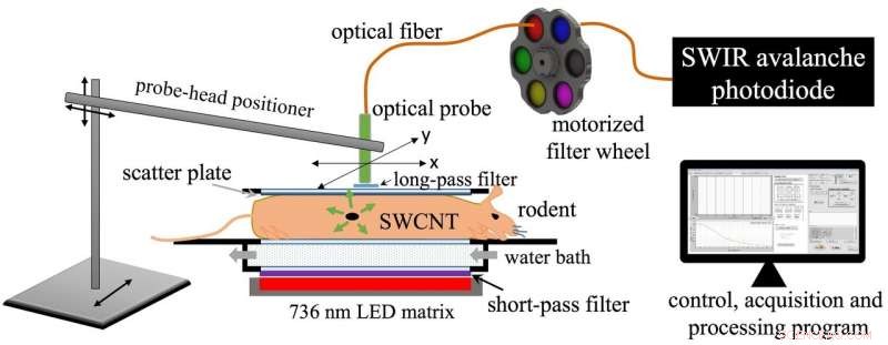Fluorescent Nanotube Probes Offer Precise Ovarian Cancer Detection