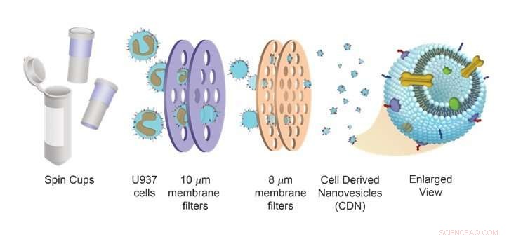 Cell‑Derived Drug Delivery Systems: Advanced Exosome‑Based Platforms