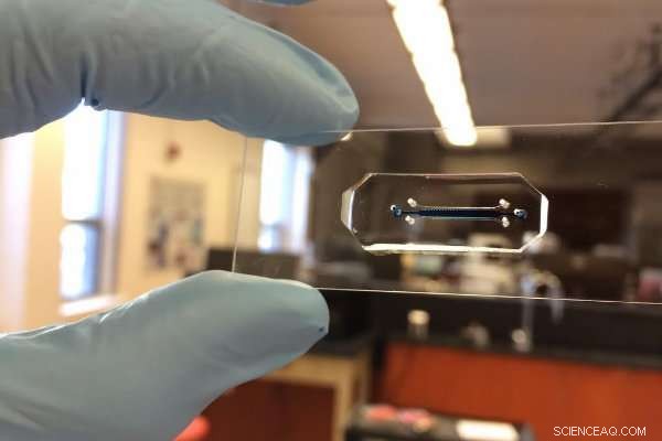 Harnessing Magnetic Fields to Guide Bacteria Movement at Queen s University