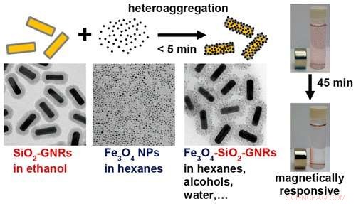 Researchers Develop Simplified Technique to Coat Gold Nanorods with Magnetic Iron Oxide for Enhanced Multifunctional Nanoparticles