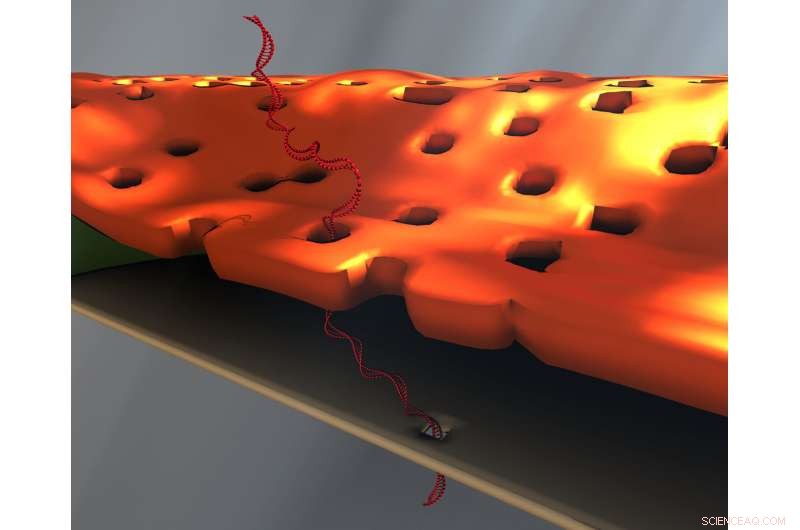 Unexpected Exhale Leads to Breakthrough in DNA Detection Technology